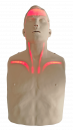 Brayden Reanimationsmodell mit roten LEDs